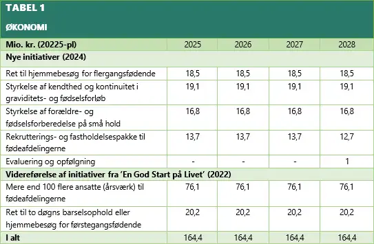 Skema med &oslash;konomi